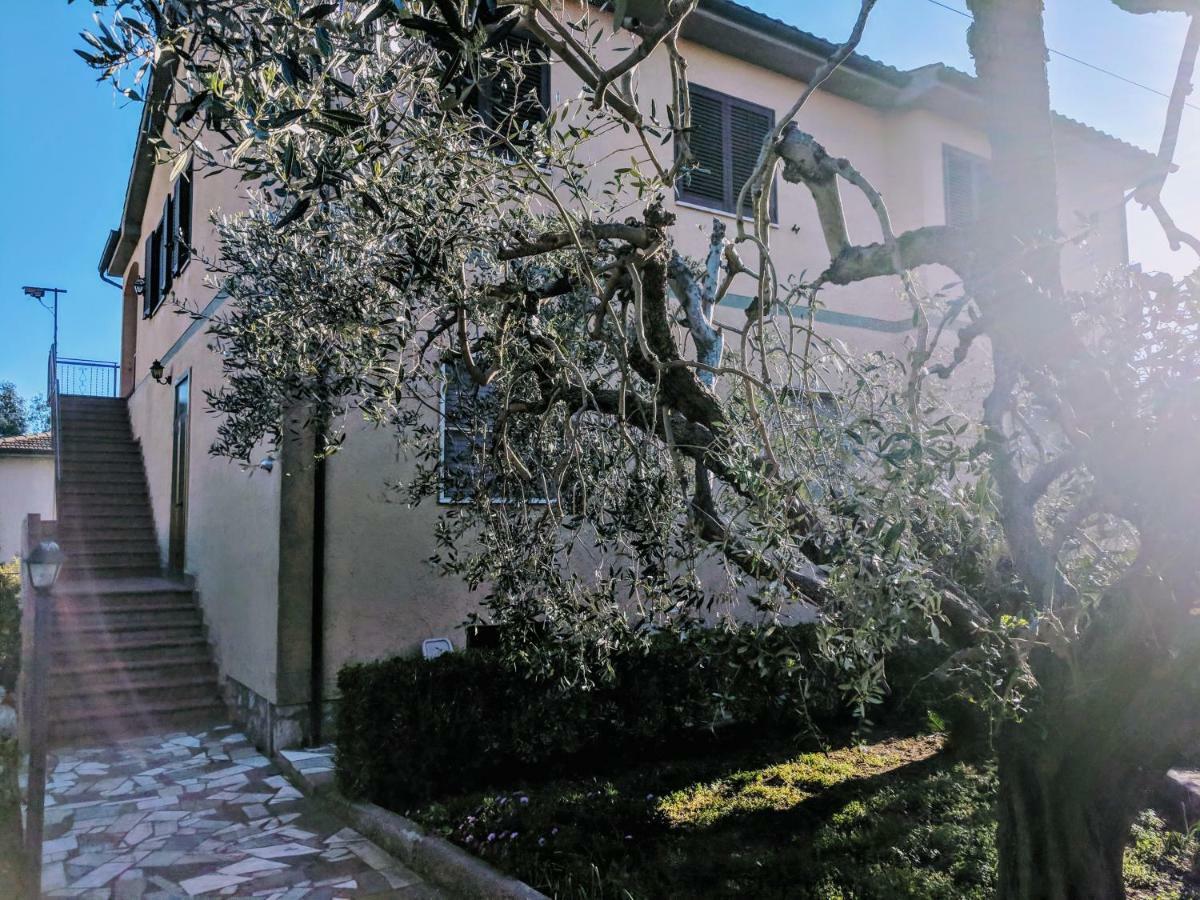 Maremmano Bnb Capalbio Bagian luar foto